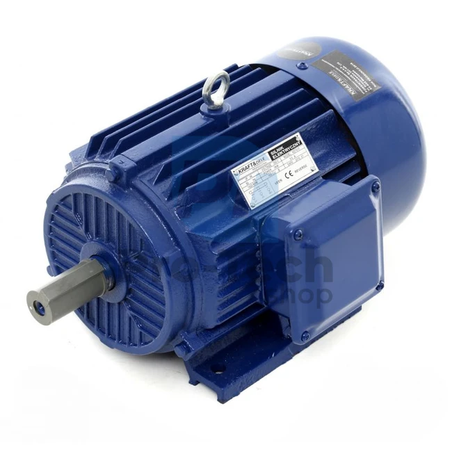 Motor electric 3,0kW 1420 rpm 380V 10366