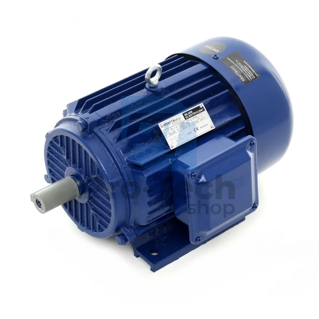Motor electric 4,0kW 2880 rpm 380V 10369